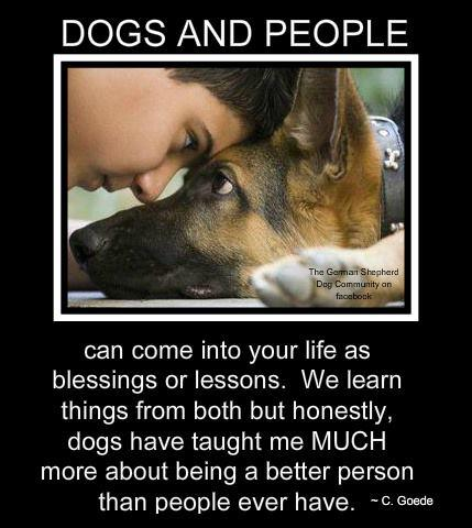 Dog Quotes Love and Loyalty